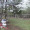 Villa Rica GA