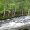 Troutlake Creek @ Troutlake Creek Campground