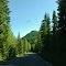 Forest Road 23