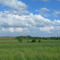 Low lying field