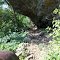 Illinois River, Wedington Woods, Arkansas - Trail Beneath Cliff