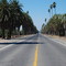 RobertsonBoulevard