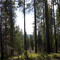 Park Creek rd view 2