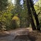 Beginnings of Fall - Park Creek Rd