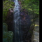 Bridalveil