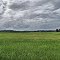Farmland and stuff