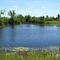 charlemont pond