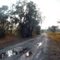 Puddle path: Duette Preserve