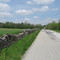 Stone Fence