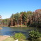 Toad's Pond in Waterford Estates