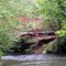 Steel Bridge over Amicalola River
