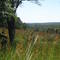 Castle Rock SP Valley View