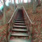 Stairway into the woods  (The start of a trail at Castle Rock State Park)