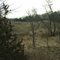 Irving Township