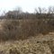 Irving Township 75