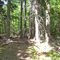 Mt. Nebo Park