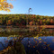 Catfish Pond