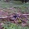 FLT M02 10.6 mi - Bivouc area, better level tenting 100 yards uphill