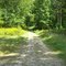 Buttonbrush Trail at Liberty Park