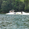 Willamette River