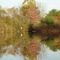 Autumn Pond @ The Bunkers