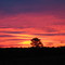 Sunrise - Liberty Rd