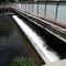 Walla Walla River at Milton Cemetery Road Bridge