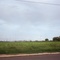 Weslaco fields