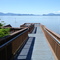 Petroglyph Beach Boardwalk Wrangell, Alaska