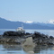 Boat at Anchor Wrangell, Alaska