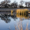 Bass Pond - Paynes Creek Rec Area