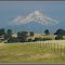 Mt. Shasta - 75 miles