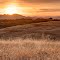 Sacramento Valley (Endless Hope)