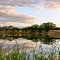 Coyote Pond - A New Breathe