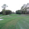 USF Golf Course