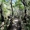 Lettuce Lake Park