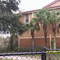 Palms of Livingstong - Looking W