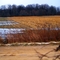 Flooded fields