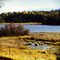 Gamlin Lake