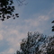 torrid skies