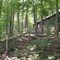 Cabin in Maine