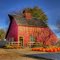 Louisburg Cider Mill - Halloween Weekend