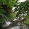 Mill Springs Falls (~50')
