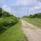 A path in Lillie Park