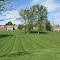 Freshly mown