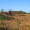 Farm Field Being Plowed, Dennison Road, York Township, Michigan