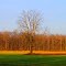 Pittsfield Preserve, Thomas Road, Pittsfield Township, Michigan