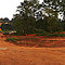 The Reserve at Chapel Hill