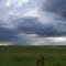 Saunders County, Nebraska (6/19/08)