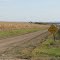 Greenwood, NE: Dirt Road